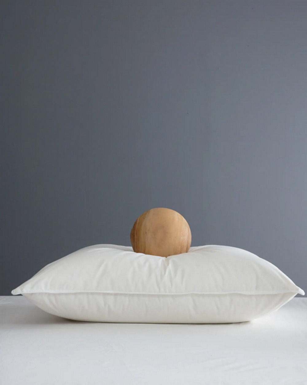 Quince Premium Down Alternative Pillow Standard Soft New